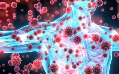 Hệ miễn dịch khỏe là nền tảng cho sức khỏe tốt