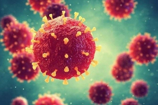 Cách phòng tránh virus Nipah hiệu quả