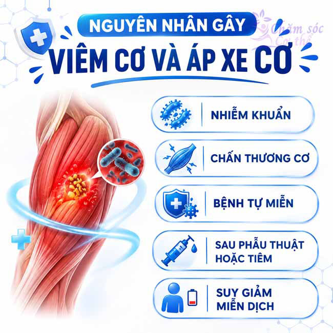 Nguyên nhân gây viêm cơ và áp xe cơ